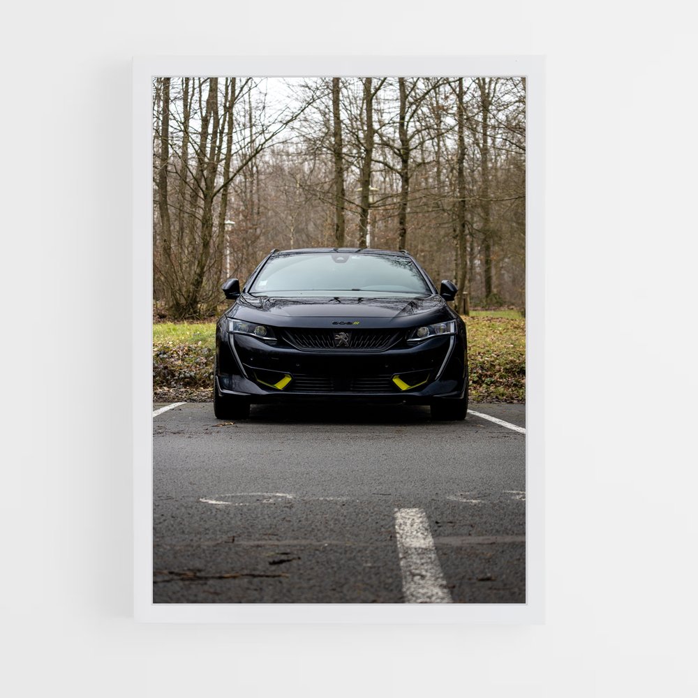 Poster magnifique pse – affiche Peugeot (vue 3)